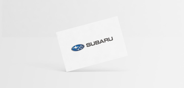 Kornelia Ledwinka, Annahme und Buchhaltung